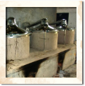 How agarwood oil is produced