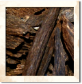 Agarwood / Oud by Region Agarwood / Oud by Region